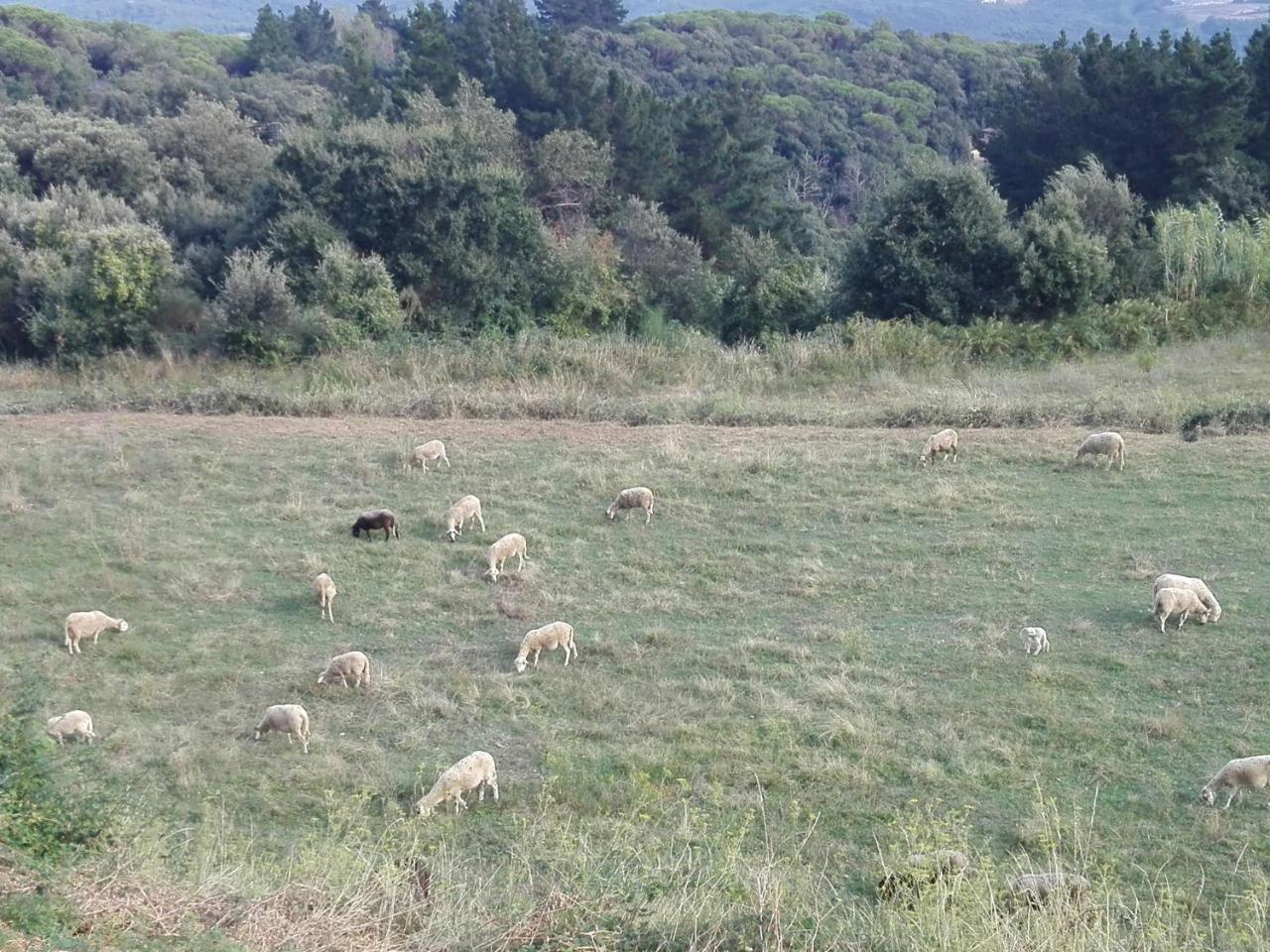 Can Llobet Espai Rural Slow Fogars de Montclus Extérieur photo